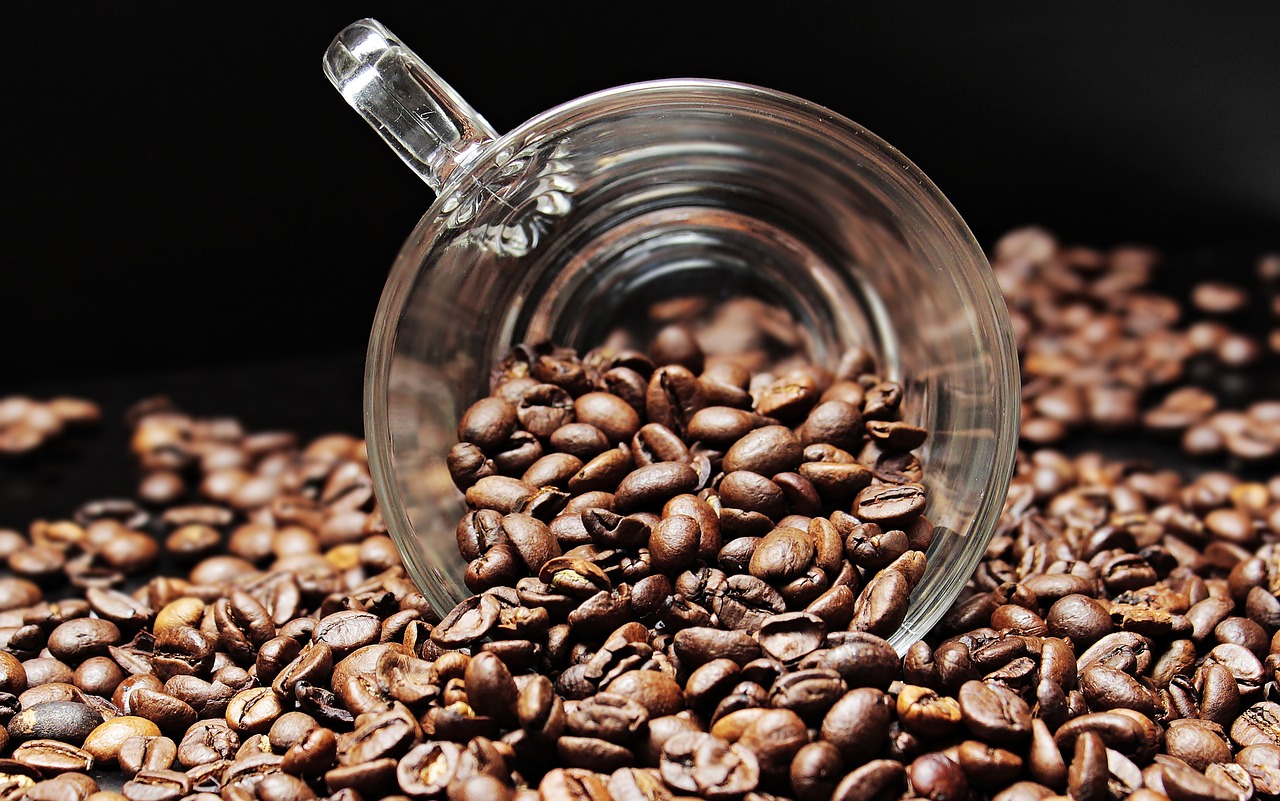 caribbean coffee beans