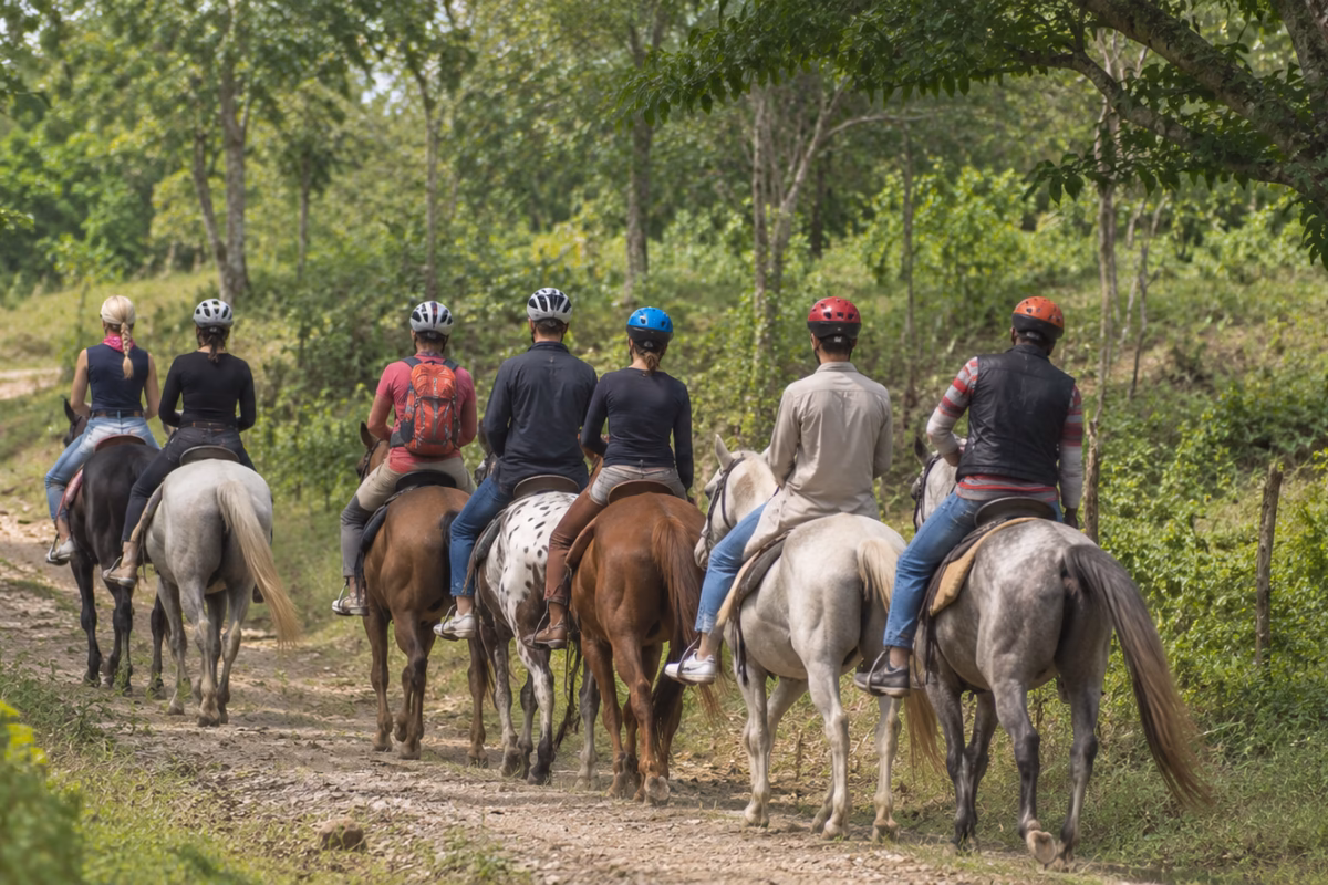 Group of riders in helmets on horseback along a dirt trail through trees