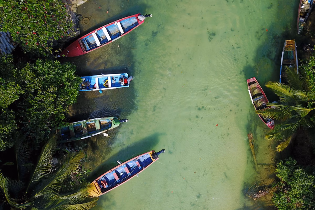Aerial view of wooden boats moored on the White River near Ocho Rios